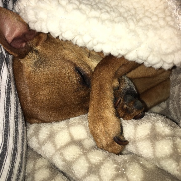 Sleepy Time 😴 - Picture 2 of 3