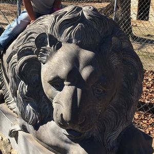 Meet your Posher, Faisal