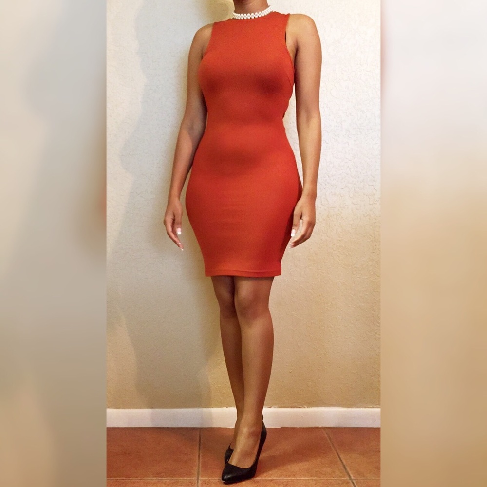 🛍️ Sale 🛍️ NWOT Cinnamon Beautiful Dress