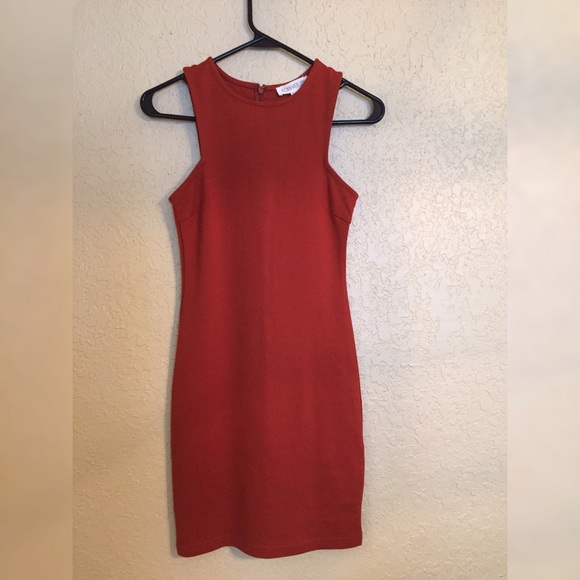 🛍️ Sale 🛍️ NWOT Cinnamon Beautiful Dress - Picture 2 of 3