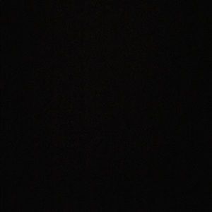 Meet your Posher, Jake