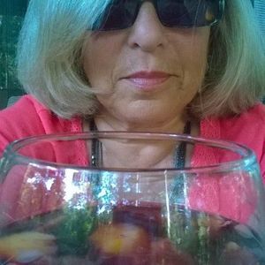 Meet your Posher, Lee