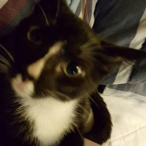 Meet your Posher, Wanda