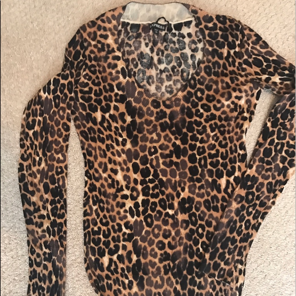 Express leopard sweater
