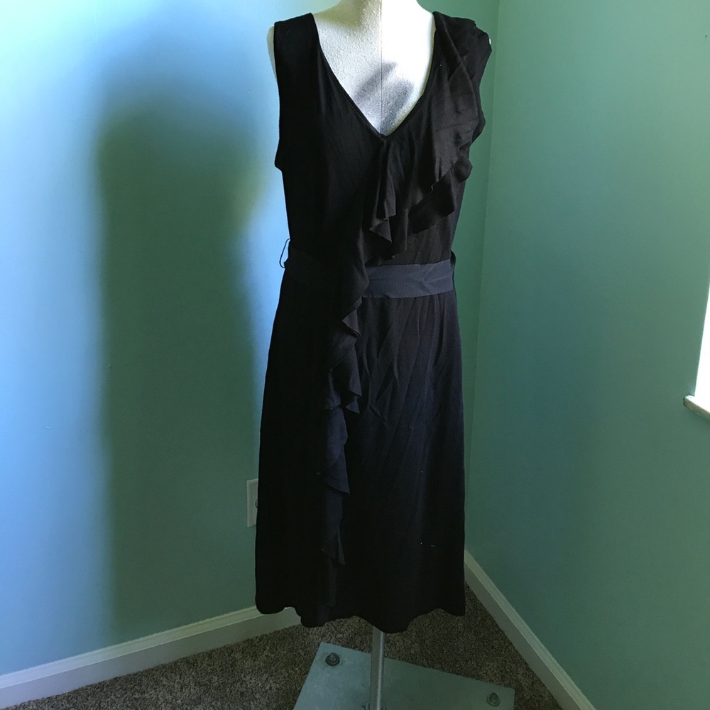 Ann Taylor Loft Dress