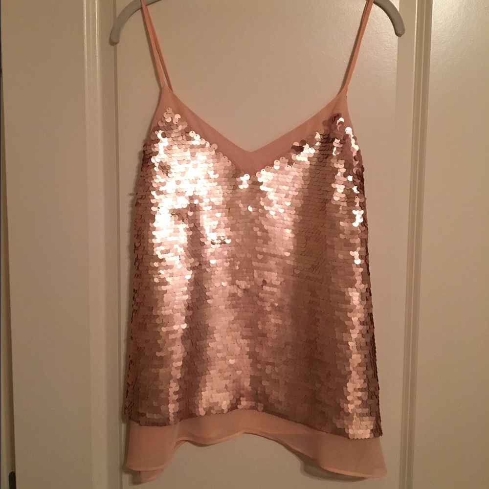 Anthropologie Rose Gold Sequin Top