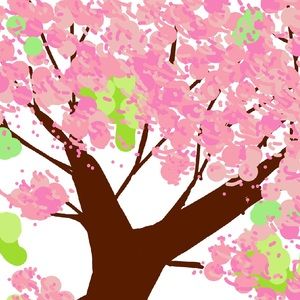 Meet your Posher, Cassie