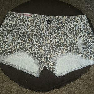Cheetah print shorts. Never worn