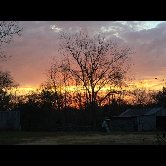 Meet your Posher, Zach - Picture 1 of 1