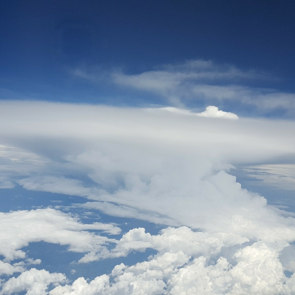 Meet your Posher, Judy