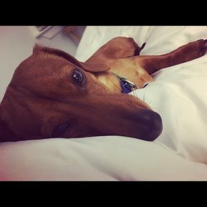 Meet your Posher, Erica