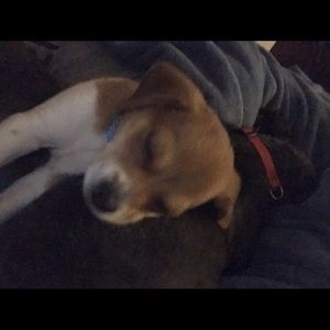 Meet your Posher, Keri