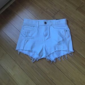Express high rise shorts