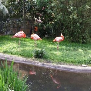 Meet your Posher, Raymona