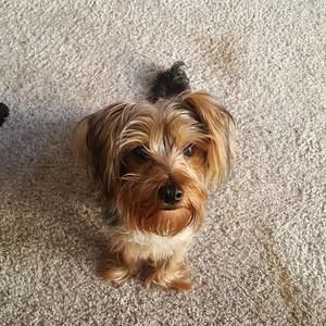 Meet your Posher, Janetta