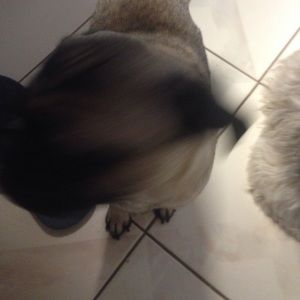 Meet your Posher, Alma