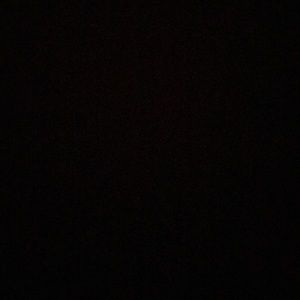 Meet your Posher, Jessie