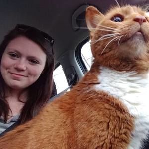 Meet your Posher, Cassandra