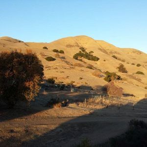 Meet your Posher, Joyce