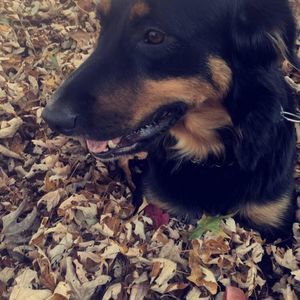 Meet your Posher, Bill