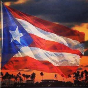 Meet your Posher, Ali