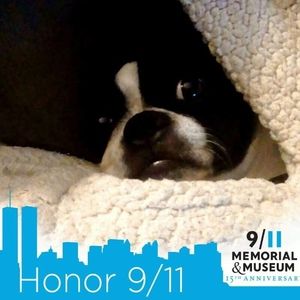 Meet your Posher, Carole