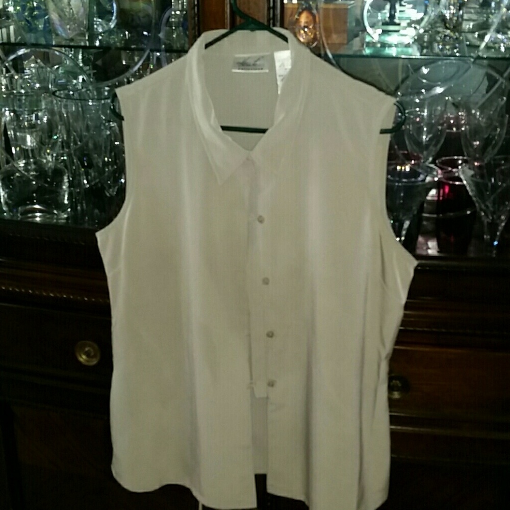 Sleeveless Taupe Kathy Lee Collection Blouse