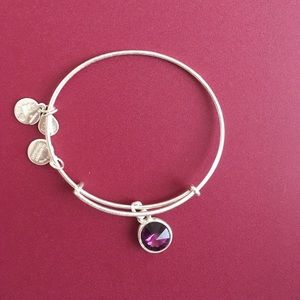 alex and ani charm bracelet