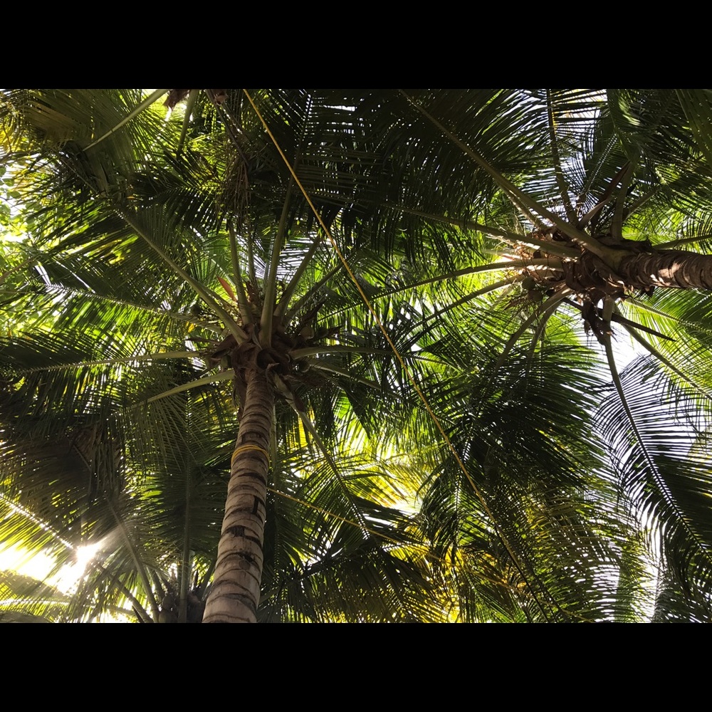 Meet your Posher, Enna