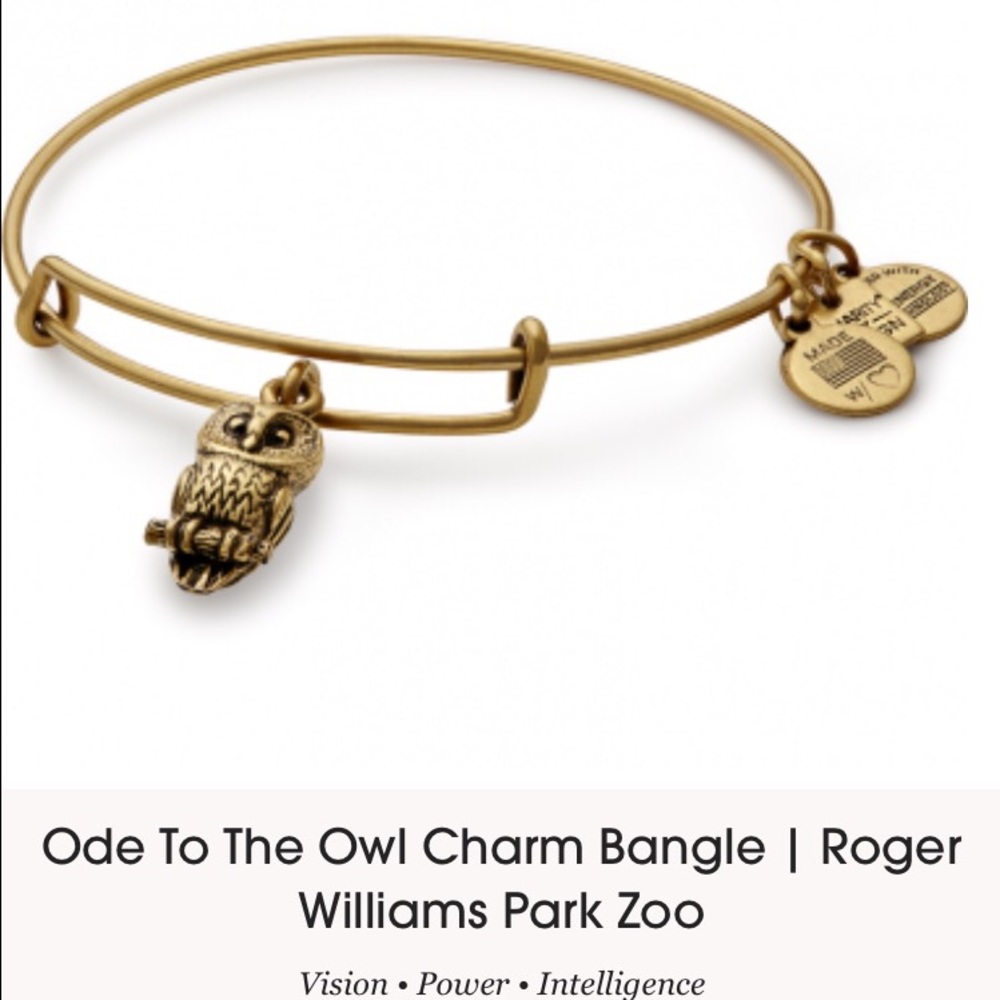 Alex and Ani owl charm bracelet - Gold finish