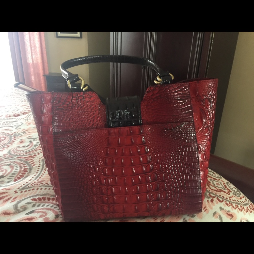 Beautiful Brahmin bag!