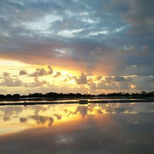 Meet your Posher, Julissa