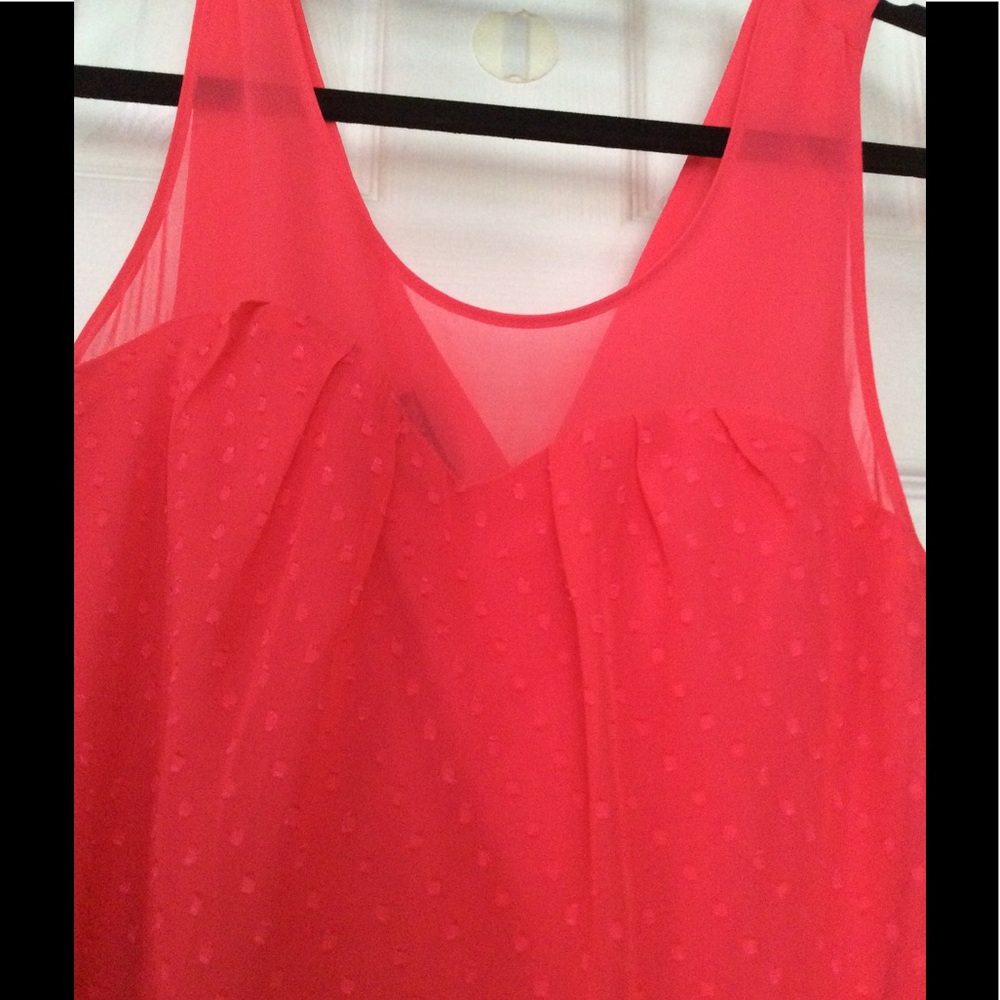 Express Dress - Picture 2 of 3