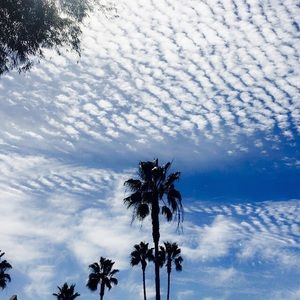 Meet your Posher, Blaire