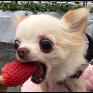 Meet your Posher, Sandra