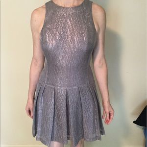 Club Monaco textured silver/taupe dress.