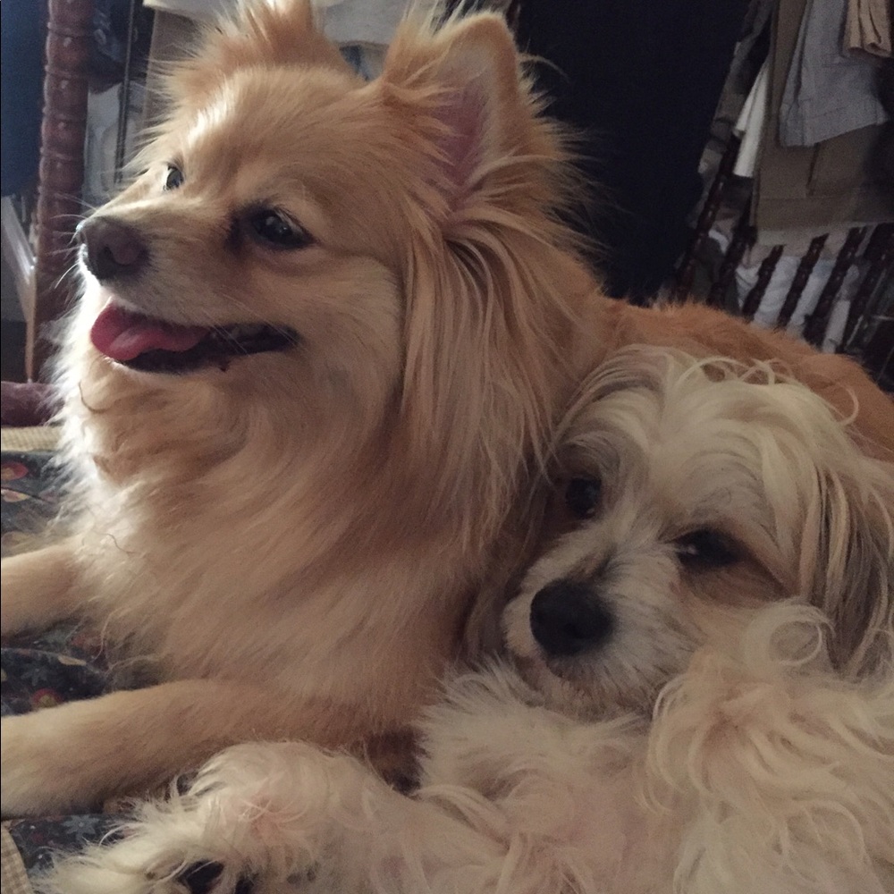 Meet your Posher, Emmelyn