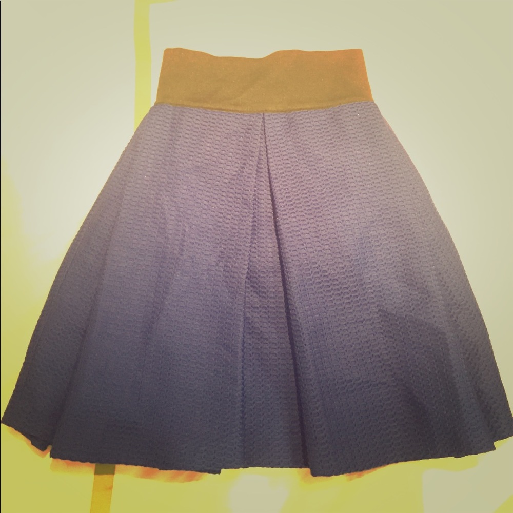 Blue Milly Midi Skirt