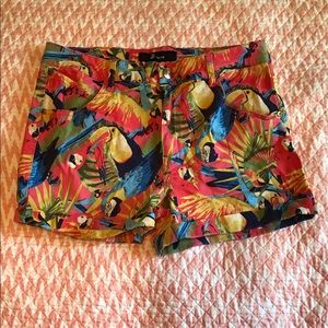 CP Jeans High Waisted Shorts