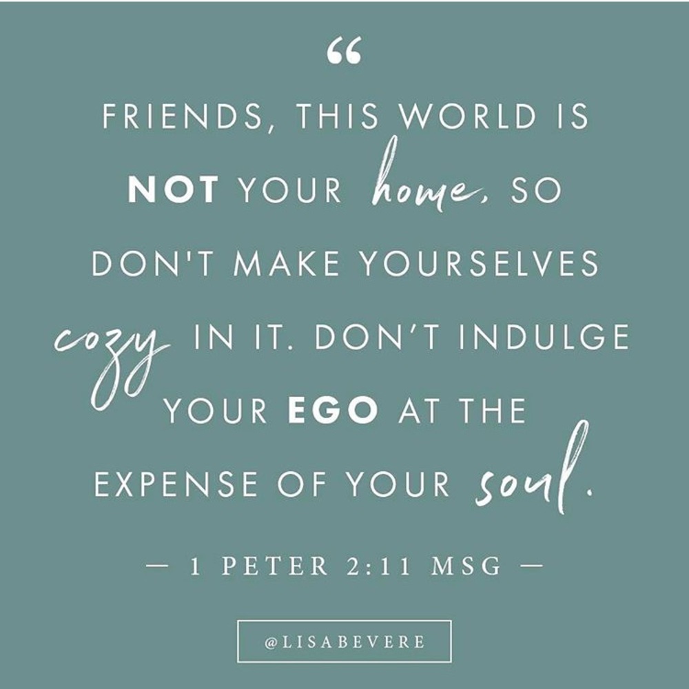 Meet your Posher, Jen