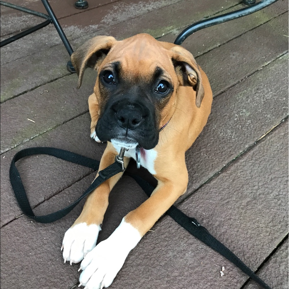 Meet your Posher, Amy