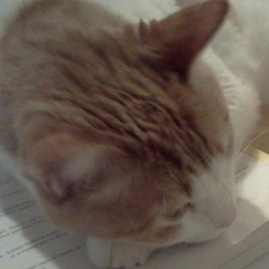 Meet your Posher, Gina