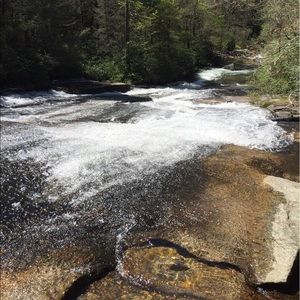 Meet your Posher, Brie