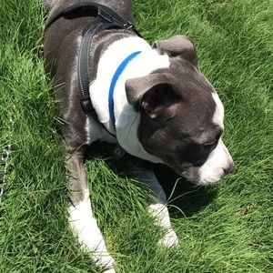 Meet your Posher, Jonice