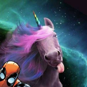 Meet your Posher, Natasha