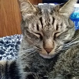 Meet your Posher, Mildred