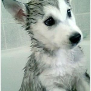 Meet your Posher, Carly