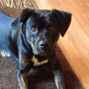 Meet your Posher, Brenda