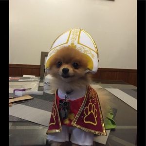 Meet your Posher, Diana