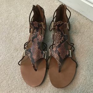 Aldo: Reptile gladiator sandals with gold heel